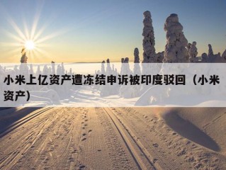 小米上亿资产遭冻结申诉被印度驳回（小米 资产）