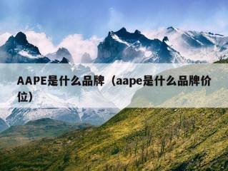 AAPE是什么品牌（aape是什么品牌价位）