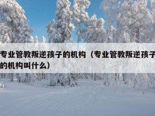 专业管教叛逆孩子的机构（专业管教叛逆孩子的机构叫什么）