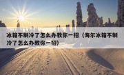 冰箱不制冷了怎么办教你一招（海尔冰箱不制冷了怎么办教你一招）