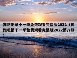 奔跑吧第十一季免费观看完整版2022（奔跑吧第十一季免费观看完整版2022第八期）