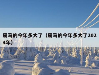 属马的今年多大了（属马的今年多大了2024年）