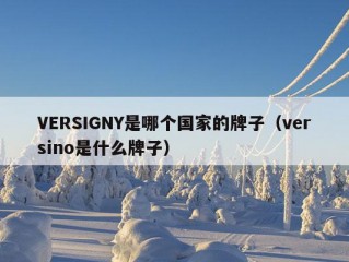 VERSIGNY是哪个国家的牌子（versino是什么牌子）