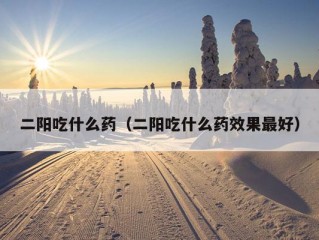 二阳吃什么药（二阳吃什么药效果最好）