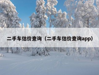 二手车估价查询（二手车估价查询app）