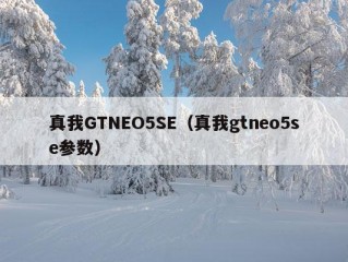 真我GTNEO5SE（真我gtneo5se参数）