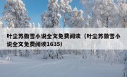 叶尘苏傲雪小说全文免费阅读（叶尘苏傲雪小说全文免费阅读1635）