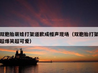 双胞胎萌娃打架道歉成相声现场（双胞胎打架超爆笑超可爱）