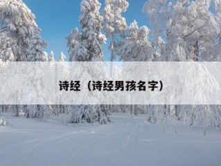 诗经（诗经男孩名字）