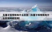 车厘子和樱桃有什么区别（车厘子和樱桃有什么区别蚂蚁庄园）