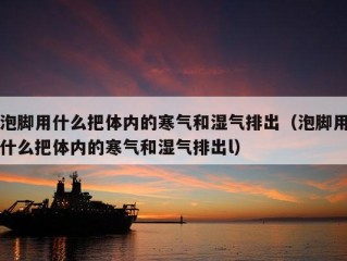 泡脚用什么把体内的寒气和湿气排出（泡脚用什么把体内的寒气和湿气排出l）