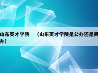 山东英才学院　（山东英才学院是公办还是民办）