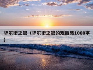 华尔街之狼（华尔街之狼的观后感1000字）