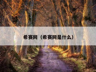 希赛网（希赛网是什么）