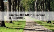 supreme是什么牌子（supreme是什么牌子鞋）