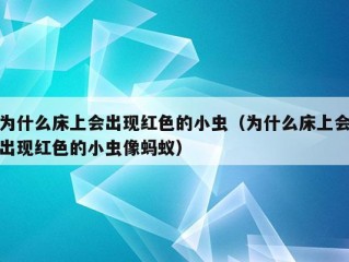 为什么床上会出现红色的小虫（为什么床上会出现红色的小虫像蚂蚁）