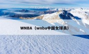 WNBA（wnba中国女球员）