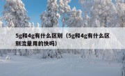 5g和4g有什么区别（5g和4g有什么区别流量用的快吗）