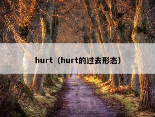 hurt（hurt的过去形态）