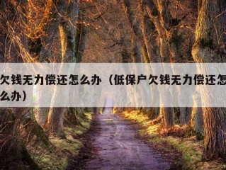 欠钱无力偿还怎么办（低保户欠钱无力偿还怎么办）