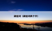 藏组词（藏组词两个字）