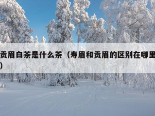 贡眉白茶是什么茶（寿眉和贡眉的区别在哪里）