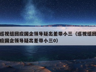 巡视组回应国企领导疑出差带小三（巡视组回应国企领导疑出差带小三0）