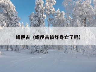 绍伊古（绍伊古被炸身亡了吗）