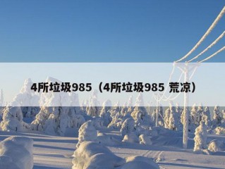 4所垃圾985（4所垃圾985 荒凉）