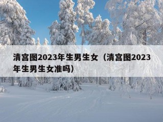 清宫图2023年生男生女（清宫图2023年生男生女准吗）