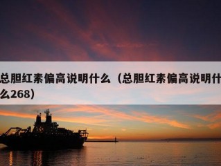 总胆红素偏高说明什么（总胆红素偏高说明什么268）