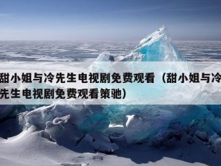 甜小姐与冷先生电视剧免费观看（甜小姐与冷先生电视剧免费观看策驰）