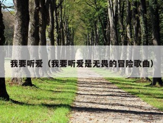 我要听爱（我要听爱是无畏的冒险歌曲）