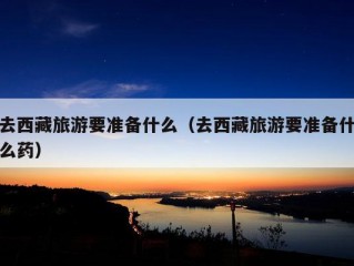 去西藏旅游要准备什么（去西藏旅游要准备什么药）