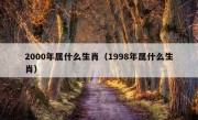 2000年属什么生肖（1998年属什么生肖）