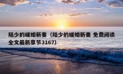 陆少的暖婚新妻（陆少的暖婚新妻 免费阅读全文最新章节3167）