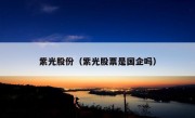 紫光股份（紫光股票是国企吗）