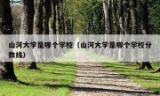 山河大学是哪个学校（山河大学是哪个学校分数线）