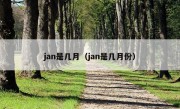 jan是几月（jan是几月份）