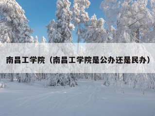 南昌工学院（南昌工学院是公办还是民办）