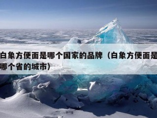 白象方便面是哪个国家的品牌（白象方便面是哪个省的城市）