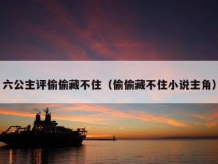 六公主评偷偷藏不住（偷偷藏不住小说主角）