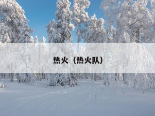 热火（热火队）