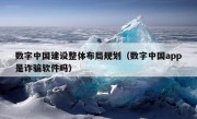 数字中国建设整体布局规划（数字中国app是诈骗软件吗）