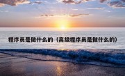 程序员是做什么的（高级程序员是做什么的）