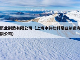 泵业制造有限公司（上海中韩杜科泵业制造有限公司）