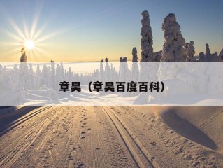 章昊（章昊百度百科）