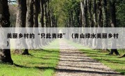 美丽乡村的“只此青绿”（青山绿水美丽乡村）