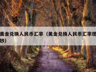 美金兑换人民币汇率（美金兑换人民币汇率现钞）