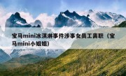 宝马mini冰淇淋事件涉事女员工离职（宝马mini小姐姐）